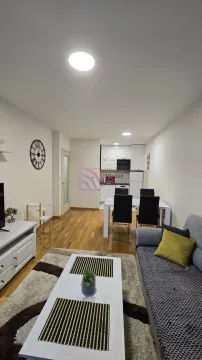 Izdavanje, jednosoban stan, 44m², Zagorič, Podgorica - image 5