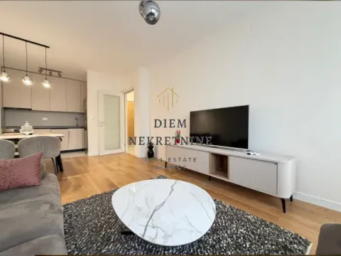 Rent, one bedroom apartment, 49m², Central Point, Podgorica - image 2