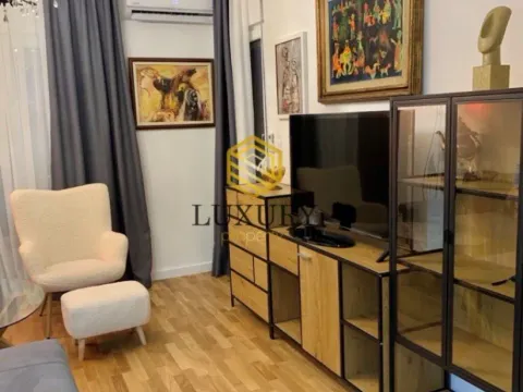 Izdavanje, jednosoban stan, 46m², Zabjelo, Podgorica - image 4