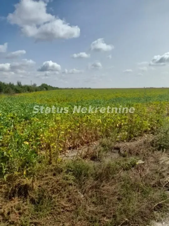 Prodaja, plac, 34155m², Sremska Mitrovica, Srbija