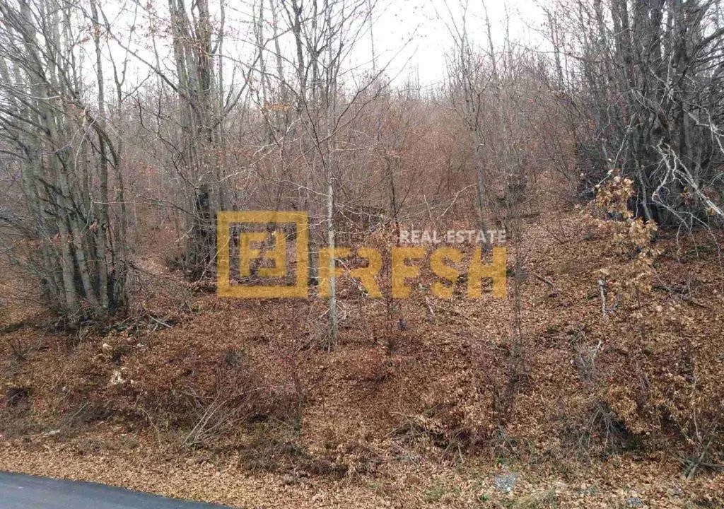 Prodaja, plac, 10000m², Ostalo, Podgorica