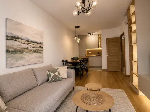 Izdavanje, jednosoban stan, 46m², New City, Podgorica - image 3