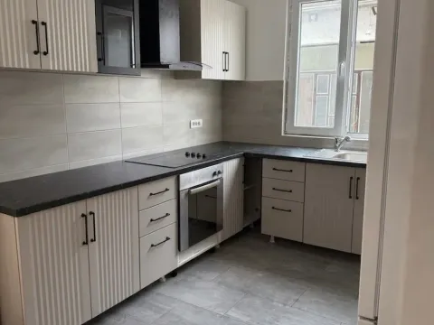 Rent, house, 180m², Palilula Sve Podlokacije, Beograd - image 5