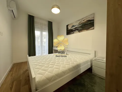 Izdavanje, jednosoban stan, 48m², Central Point, Podgorica - image 10