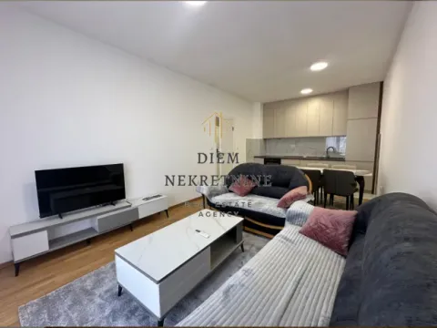 Rent, one bedroom apartment, 48m², Zabjelo, Podgorica - image 10