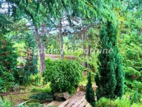 Prodaja, kuća, 38m², Banja Vrdnik, Irig - image 5