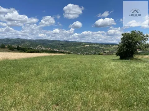 Prodaja, plac, 4000m², Banja Vrdnik, Irig - image 1