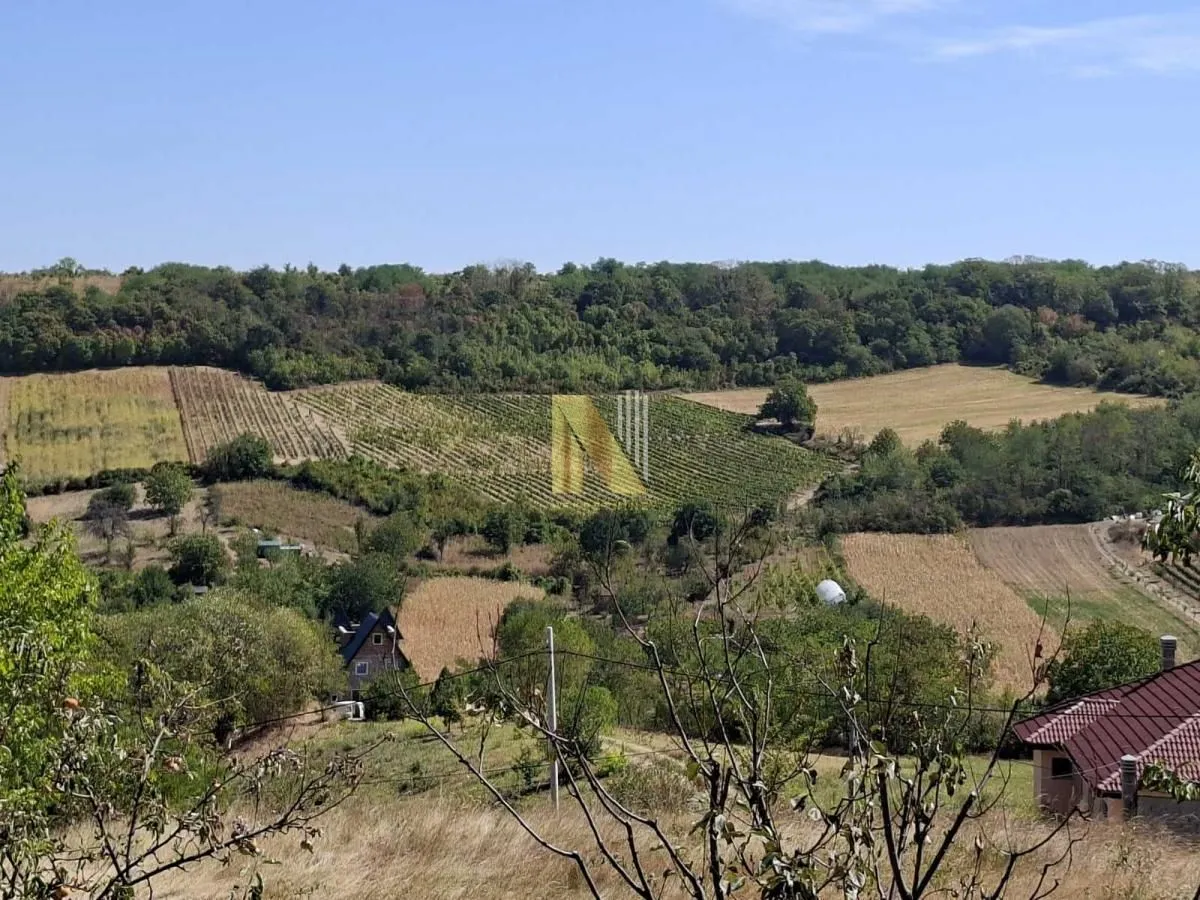 Pogled na okolnu prirodu, zelene površine i šumu sa imanja.