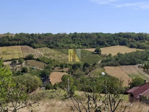 Pogled na okolnu prirodu, zelene površine i šumu sa imanja. - image 10