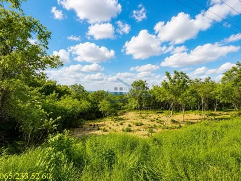 Sale, land lot, 2600m², Novi Slankamen, Inđija - image 2