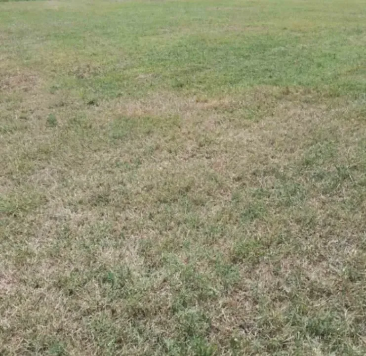 Sale, land lot, 1878m², Polje, Bar