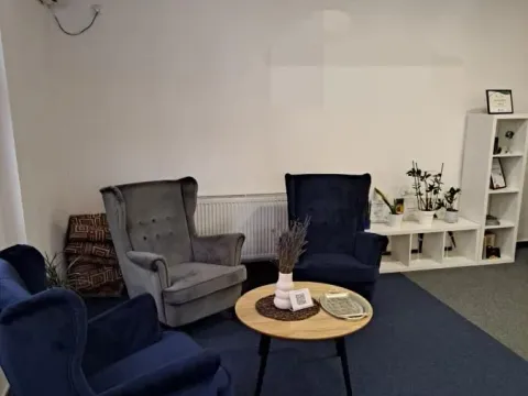 Izdavanje, poslovni prostor, 330m², Socijalno, Novi Sad Sve Podlokacije - image 3