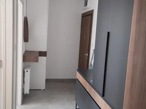 Izdavanje, trosoban stan, 58m², Telep, Novi Sad Sve Podlokacije - image 3