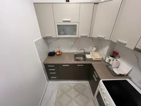 Izdavanje, jednosoban stan, 44m², Pobrežje, Podgorica - image 4