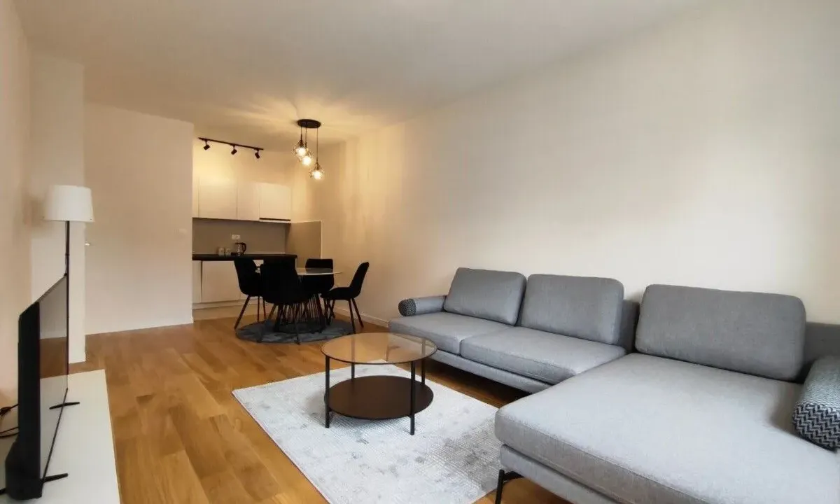 Izdavanje, jednosoban stan, 50m², Central Point, Podgorica