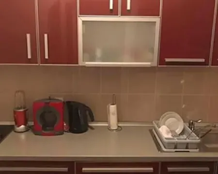 Izdavanje, dvosoban stan, 66m², Novi Beograd Blok 22, Novi Beograd Sve Podlokacije - image 5