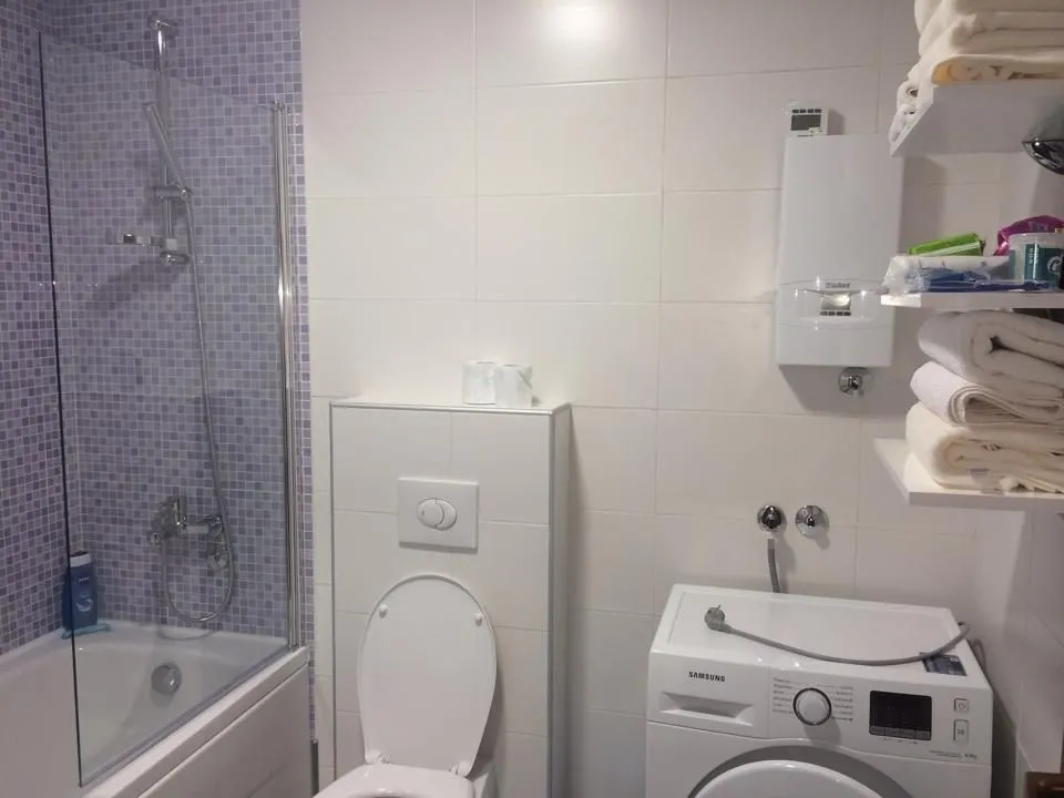 Bright bathroom featuring a bathtub, washing machine, and purple mosaic tiles.
