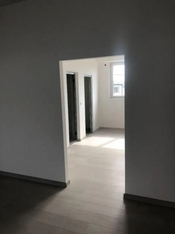 Rent, office space, 660m², Zemun Nova Galenika, Zemun Sve Podlokacije