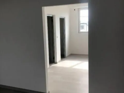 Izdavanje, poslovni prostor, 660m², Zemun Nova Galenika, Zemun Sve Podlokacije - image 14