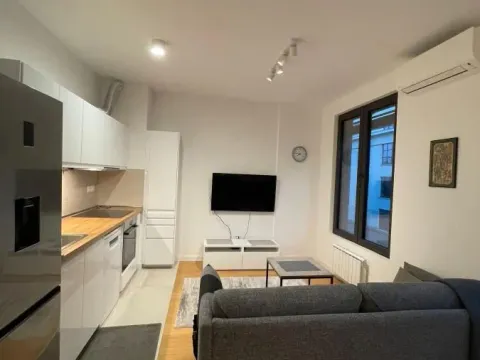 Izdavanje, dvosoban stan, 40m², Stari Grad, Beograd - image 2