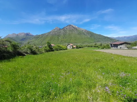 Prodaja, plac, 4000m², Gusinje, Plav - image 1