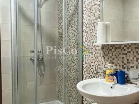 Izdavanje, garsonjera, 31m², Ljubović, Podgorica - image 5