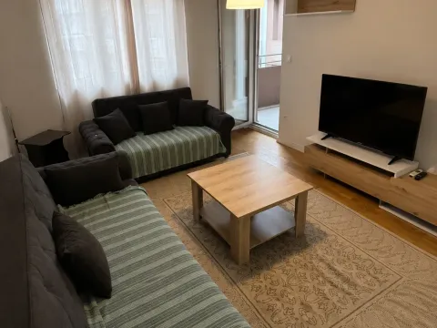 Prodaja, jednosoban stan, 49m², Central Point, Podgorica - image 2