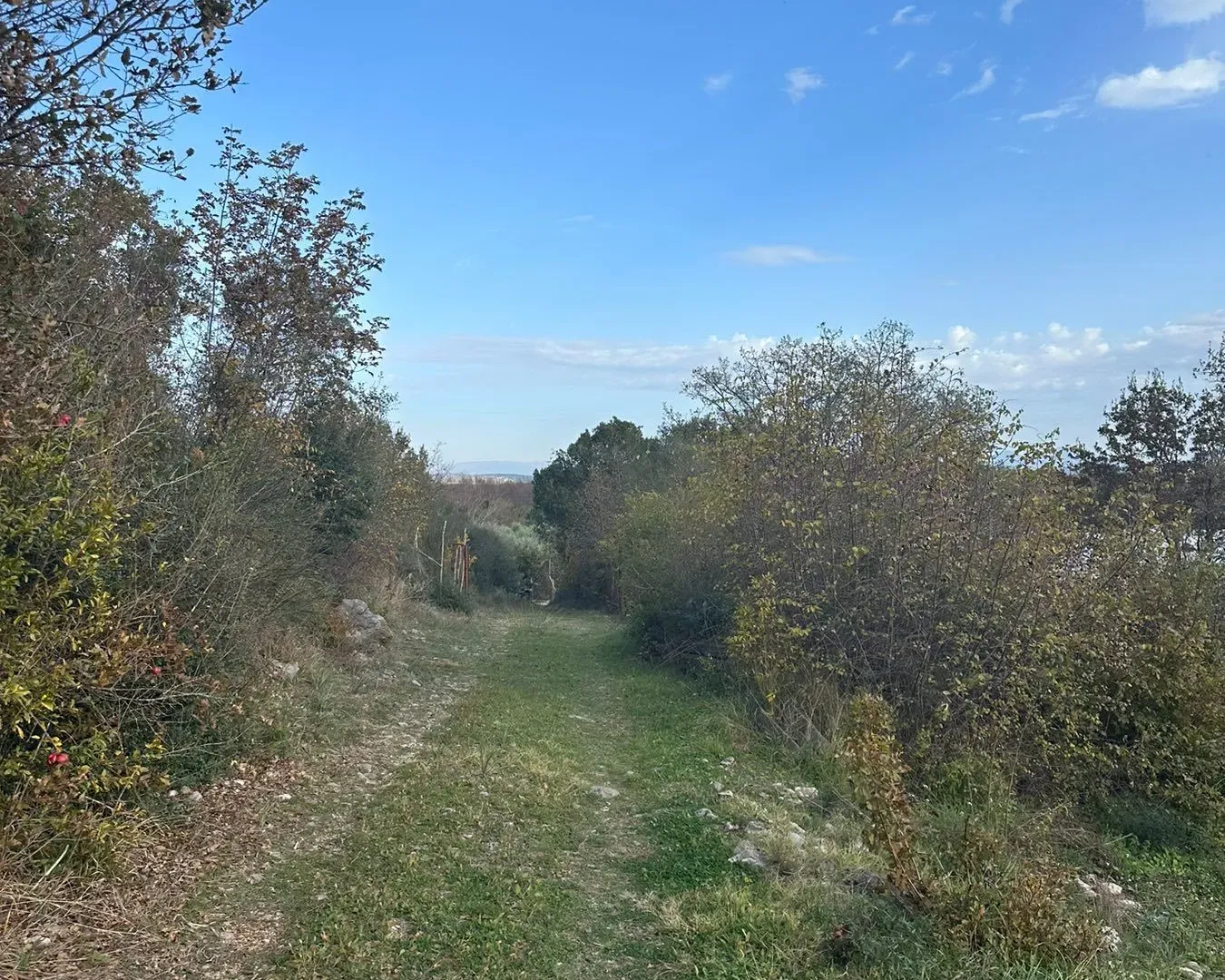 Prodaja, plac, 6000m², Ulcinj, Crna Gora