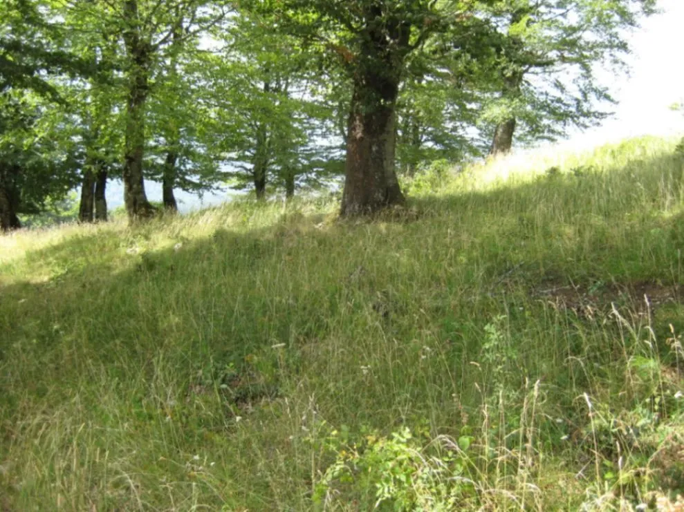 Prodaja, plac, 199938m², Donja Bukovica, Šavnik