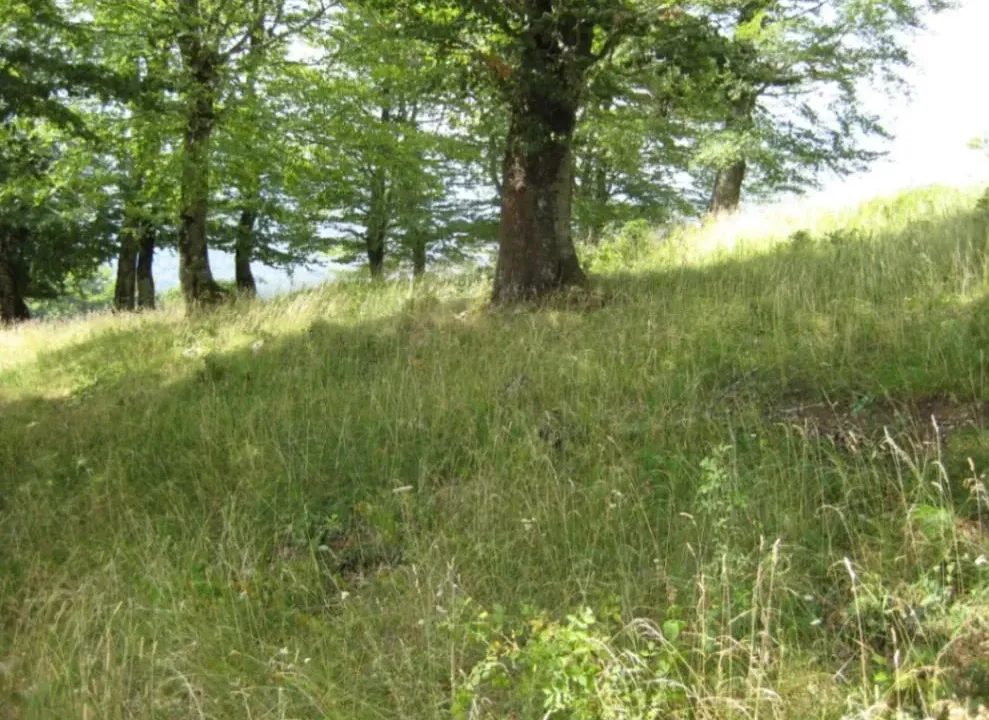 Prodaja, plac, 199938m², Donja Bukovica, Šavnik