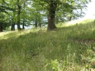 Prodaja, plac, 199938m², Donja Bukovica, Šavnik - image 1