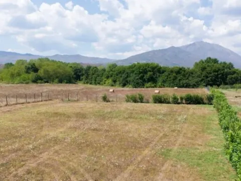 Sale, land lot, 840m², Begovina, Danilovgrad - image 2