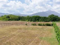 Sale, land lot, 840m², Begovina, Danilovgrad - image 2