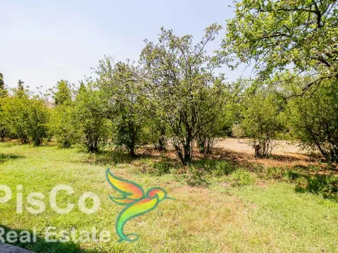 Izdavanje, kuća, 150m², Zabjelo, Podgorica - image 2