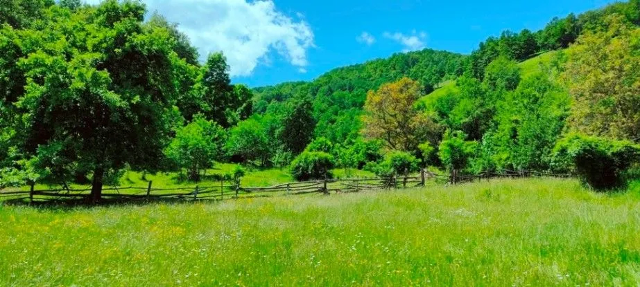 Sale, land lot, 30140m², Ulotina, Andrijevica