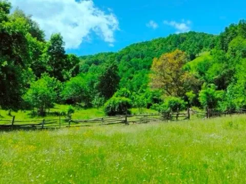 Prodaja, plac, 30140m², Ulotina, Andrijevica