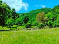 Sale, land lot, 30140m², Ulotina, Andrijevica - image 1