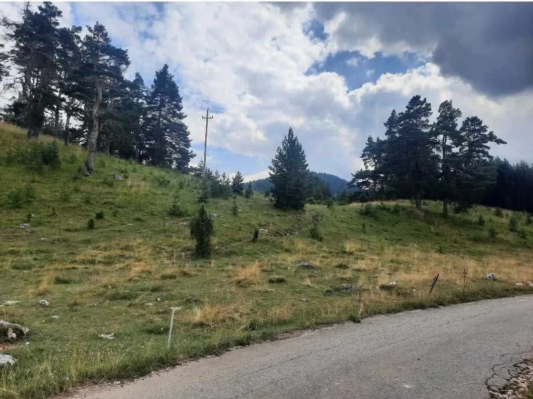 Prodaja, plac, 17000m², Žabljak, Crna Gora