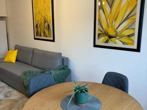 Izdavanje, dvosoban stan, 50m², Socijalno, Novi Sad Sve Podlokacije - image 4