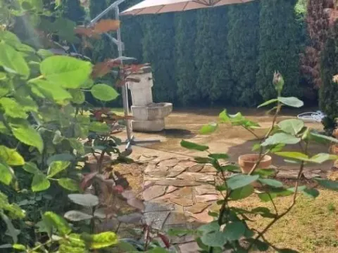 Prodaja, poslovni prostor, 400m², Zemun Sve Podlokacije, Beograd - image 2