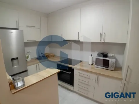 Izdavanje, dvosoban stan, 60m², Zemun Sve Podlokacije, Beograd - image 10