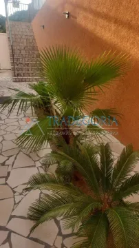 Dvorište sa palmama i popločanim stazama pored kuće. - image 7