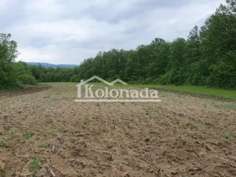 Prodaja, plac, 17100m², Sopot, Beograd - image 3