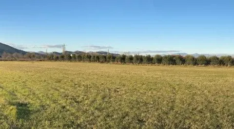 Prodaja, plac, 4240m², Podgorica, Crna Gora - image 4