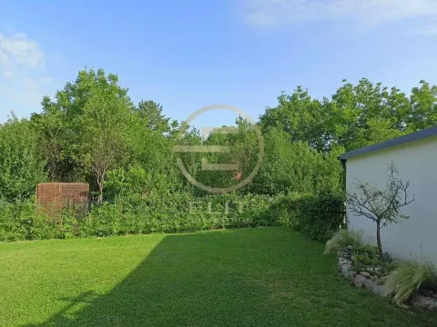 Zeleno dvorište sa travnjakom i drvećem iza objekta. - image 46