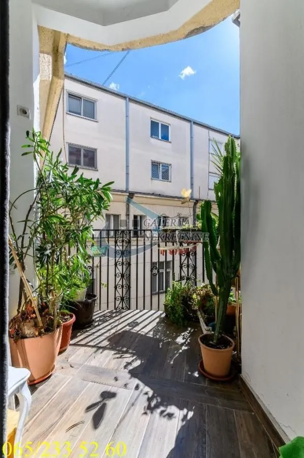 Balkon ukrašen saksijskim biljem i kaktusima.