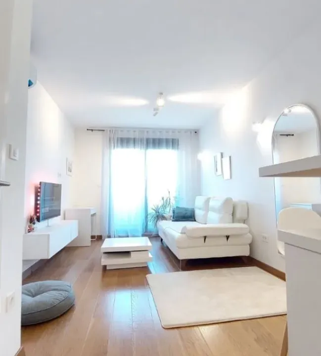 Rent, one bedroom apartment, 47m², Tološka šuma, Podgorica