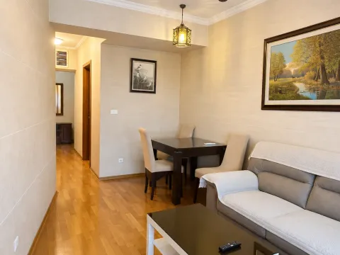 Izdavanje, jednosoban stan, 50m², Centar, Podgorica - image 2
