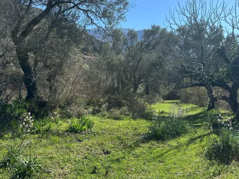 Prodaja, plac, 2171m², Kavač, Kotor - image 2