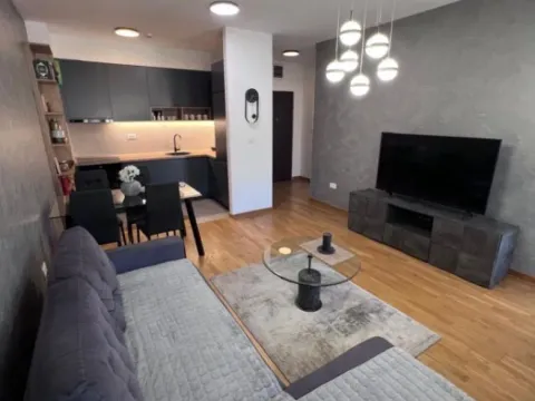 Izdavanje, jednosoban stan, 47m², City Kej, Podgorica - image 10